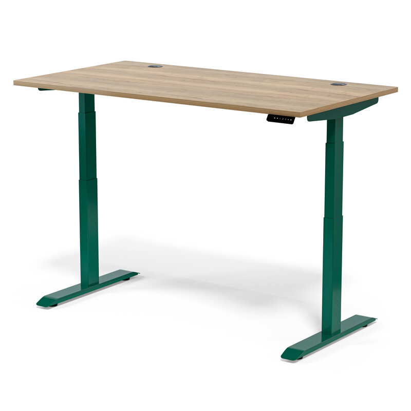 Standing Desk Flow Classic