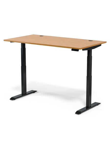 Standing Desk Flow Bamboo
