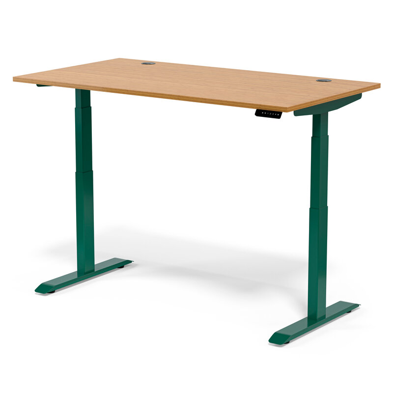 Standing Desk Flow Bamboo