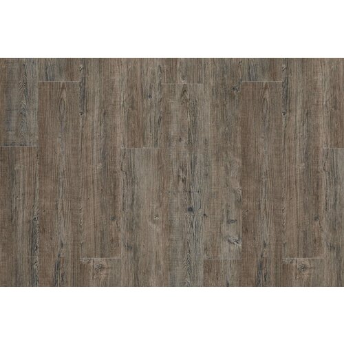 Moduleo Moduleo Transform Latin Pine vinyl planken