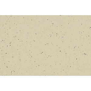 Forbo Flooring Forbo Flooring Marmoleum Solid Cocoa linoleum vloerbedekking