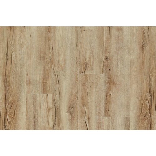 IVC Moduleo IVC Moduleo 55 LVT Impressive Mountain Oak vinyl vloeren