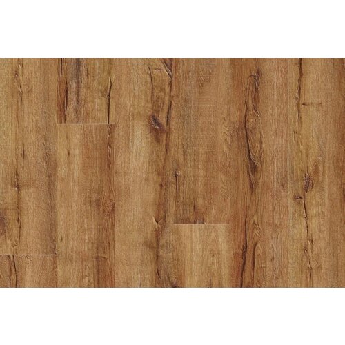 IVC Moduleo IVC Moduleo 55 LVT Impressive Mountain Oak vinyl vloeren