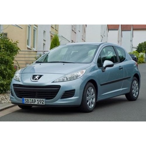 Carbags Reistassen Peugeot 207