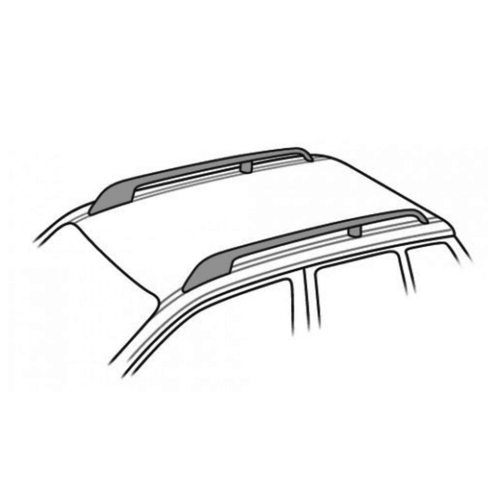 Picoya Picoya dakdragers Nissan Almera Tino bouwjaar 2000 t/m 2006 met dakrailing Picoya Picoya dakdragers Nissan Almera Tino bouwjaar 2000 t/m 2006 met dakrailing