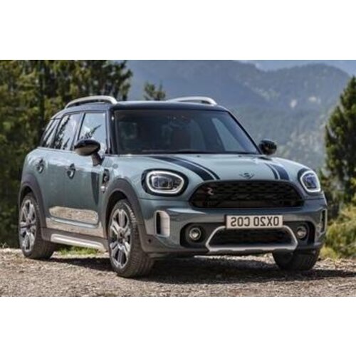 Thule dakdragers Mini Countryman