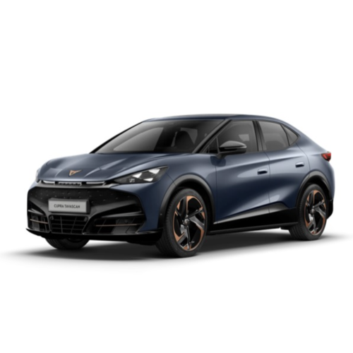 Dakdragers Cupra Tavascan