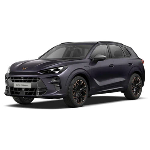 Dakdragers Cupra Terramar