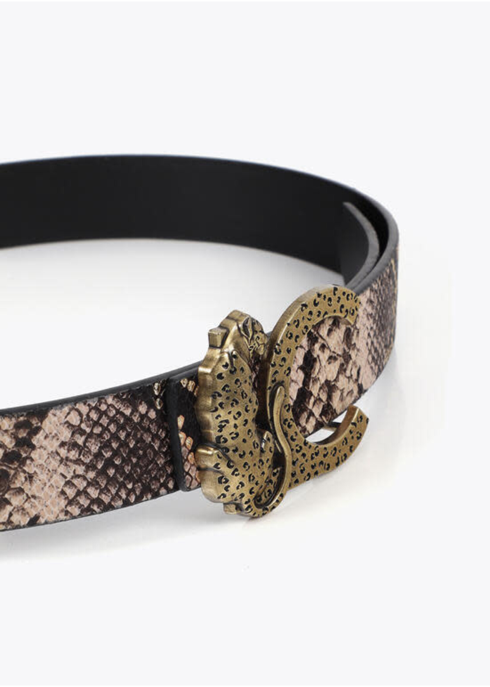 LF2506001 Cinturon reversible hebilla LC leopardo CRUDO-GRIS