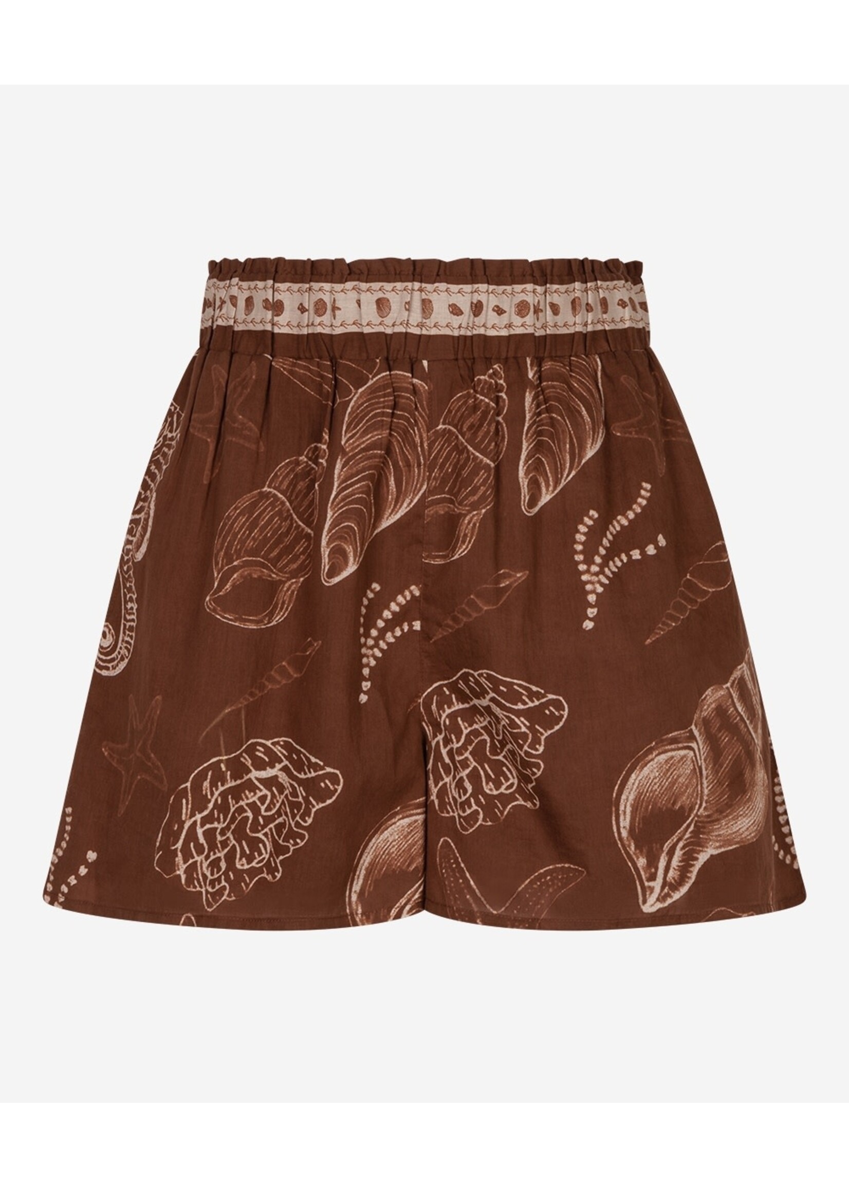 302620131 Shazira Shell