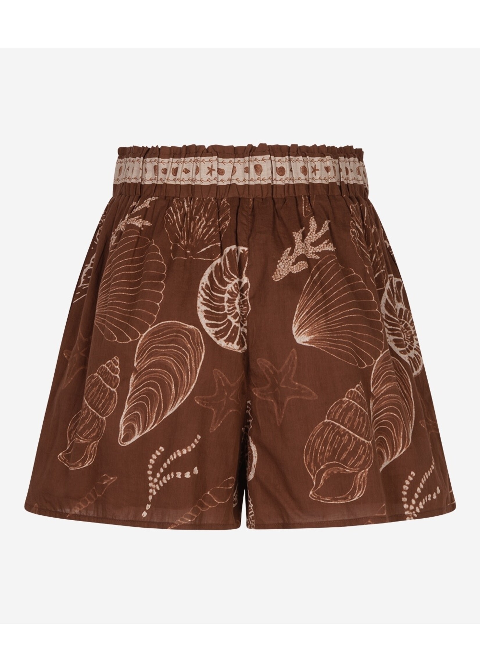 302620131 Shazira Shell