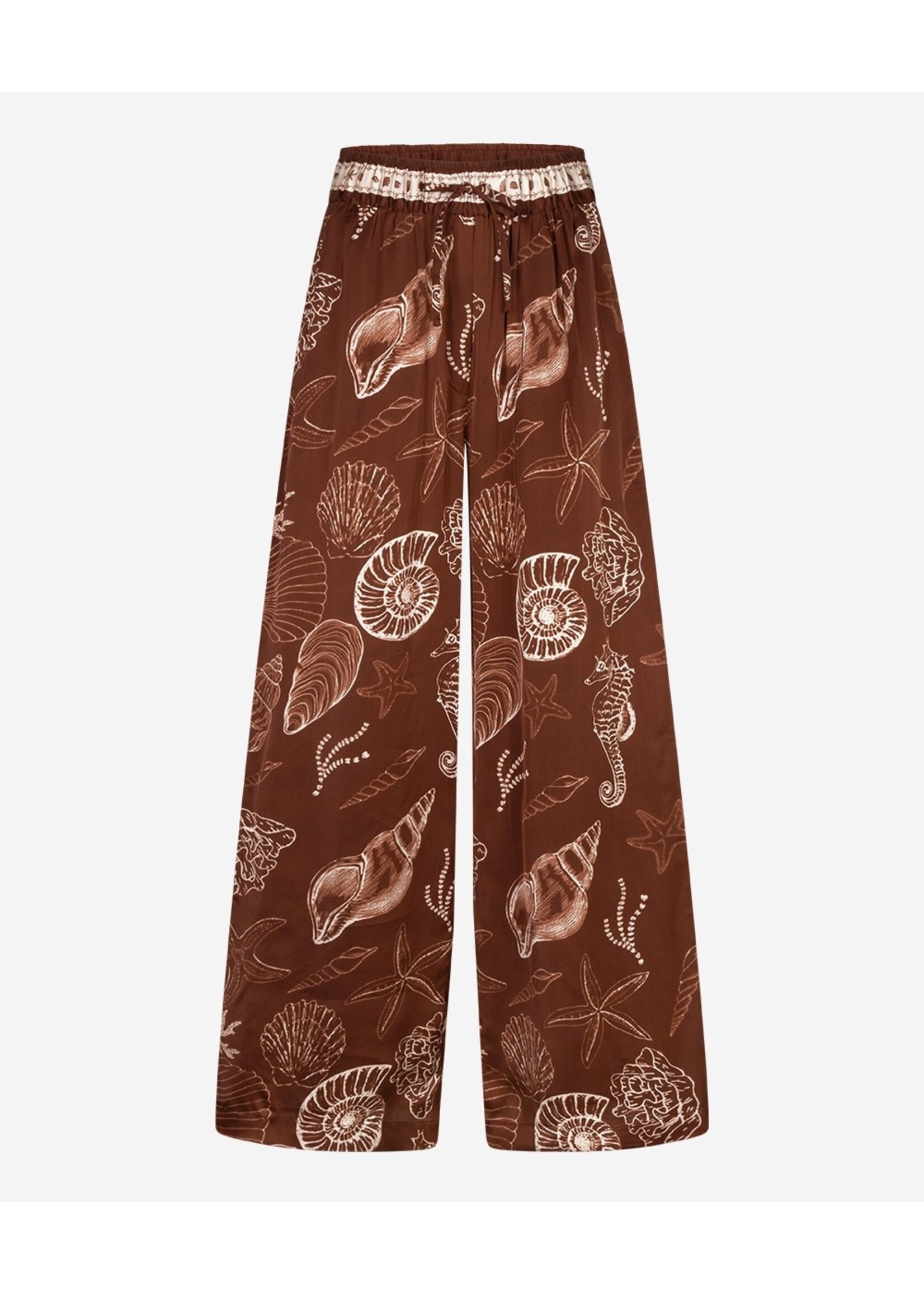 302620155 Piero Shell