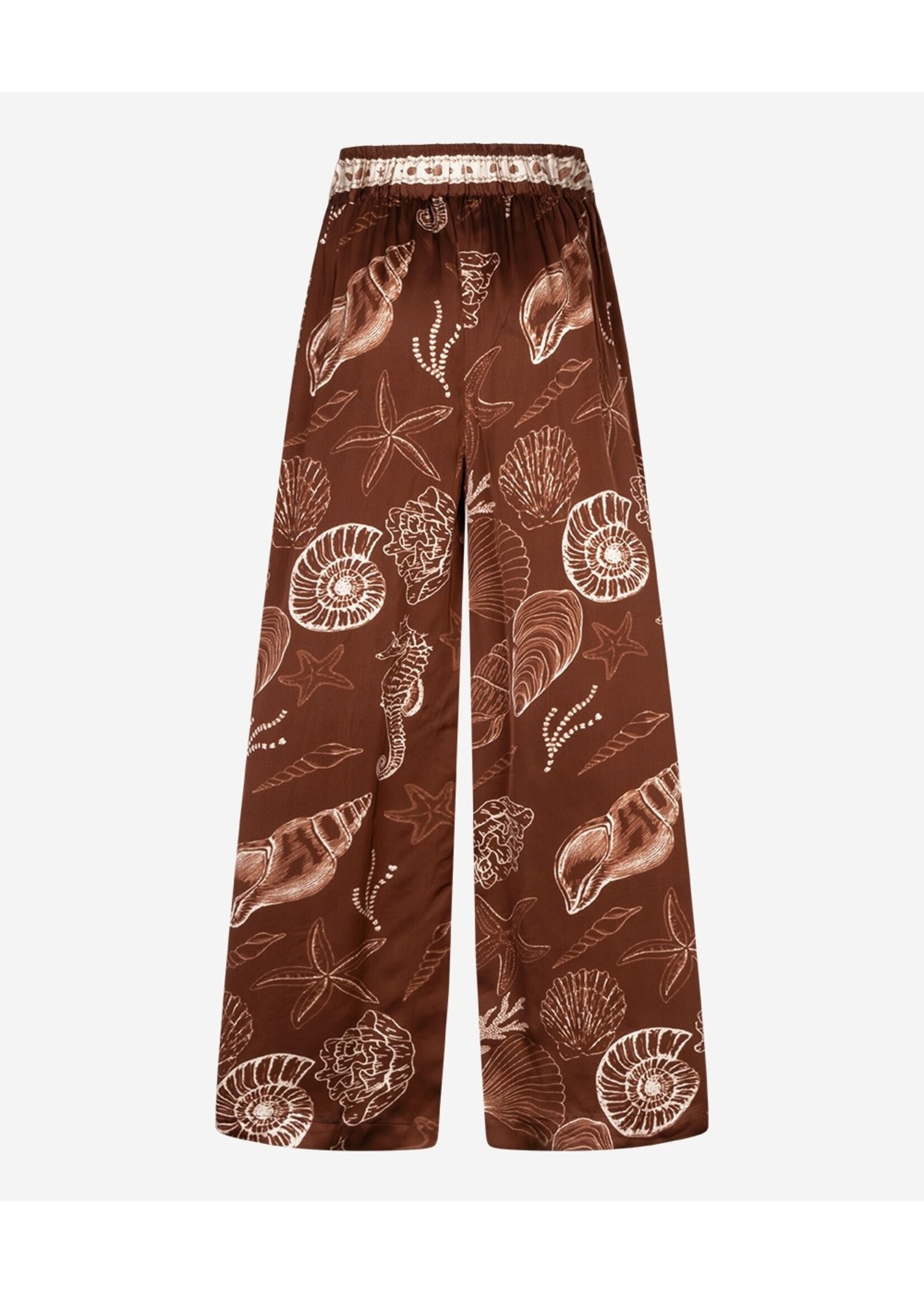 302620155 Piero Shell