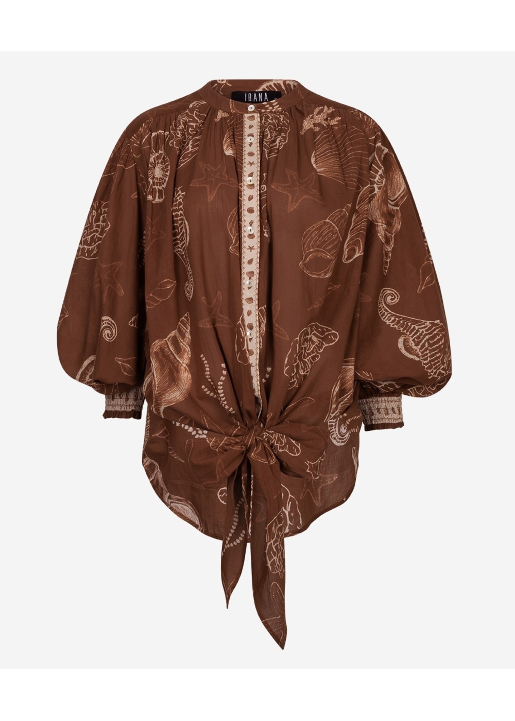 302620156 Tinca Shell