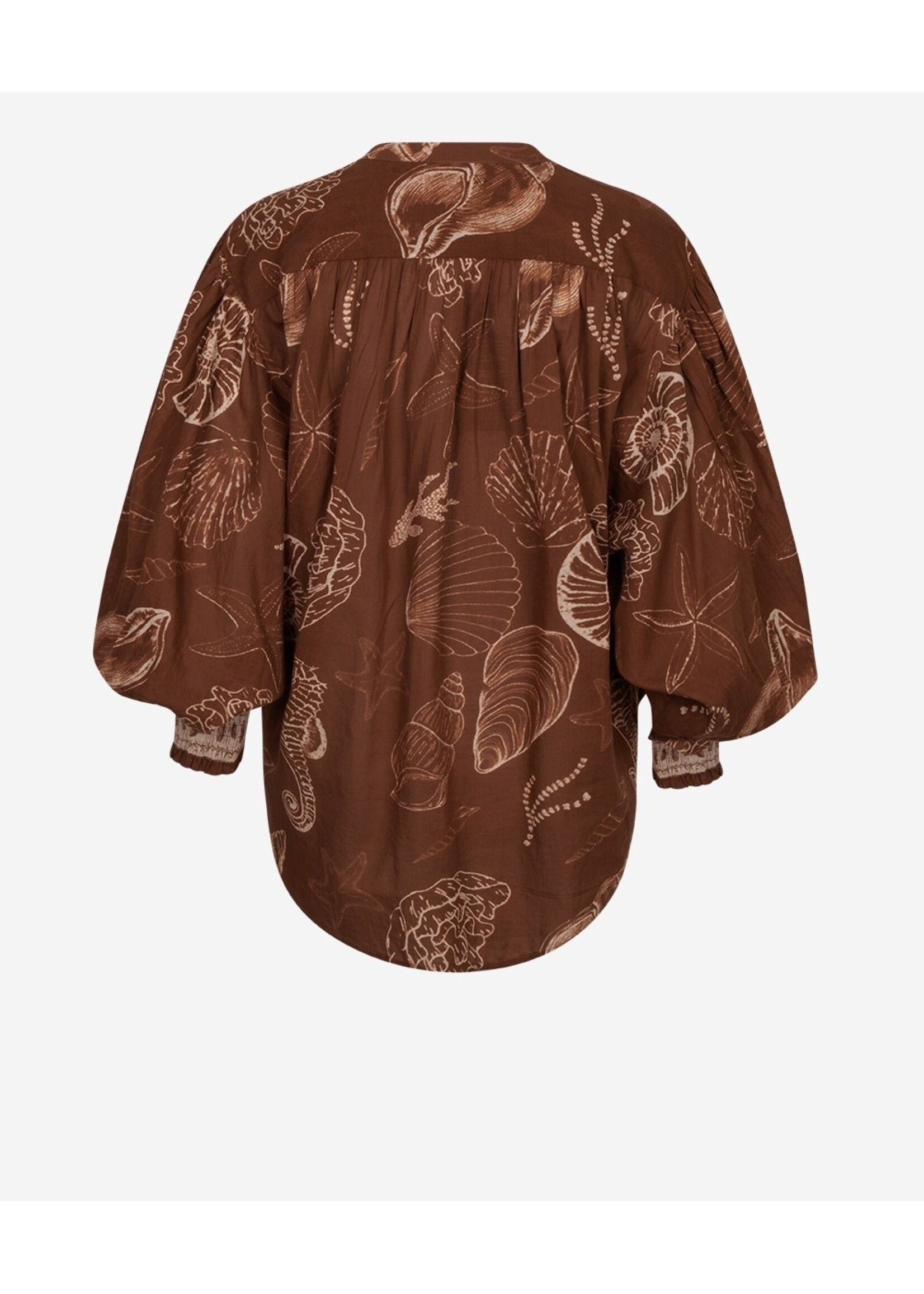 302620156 Tinca Shell