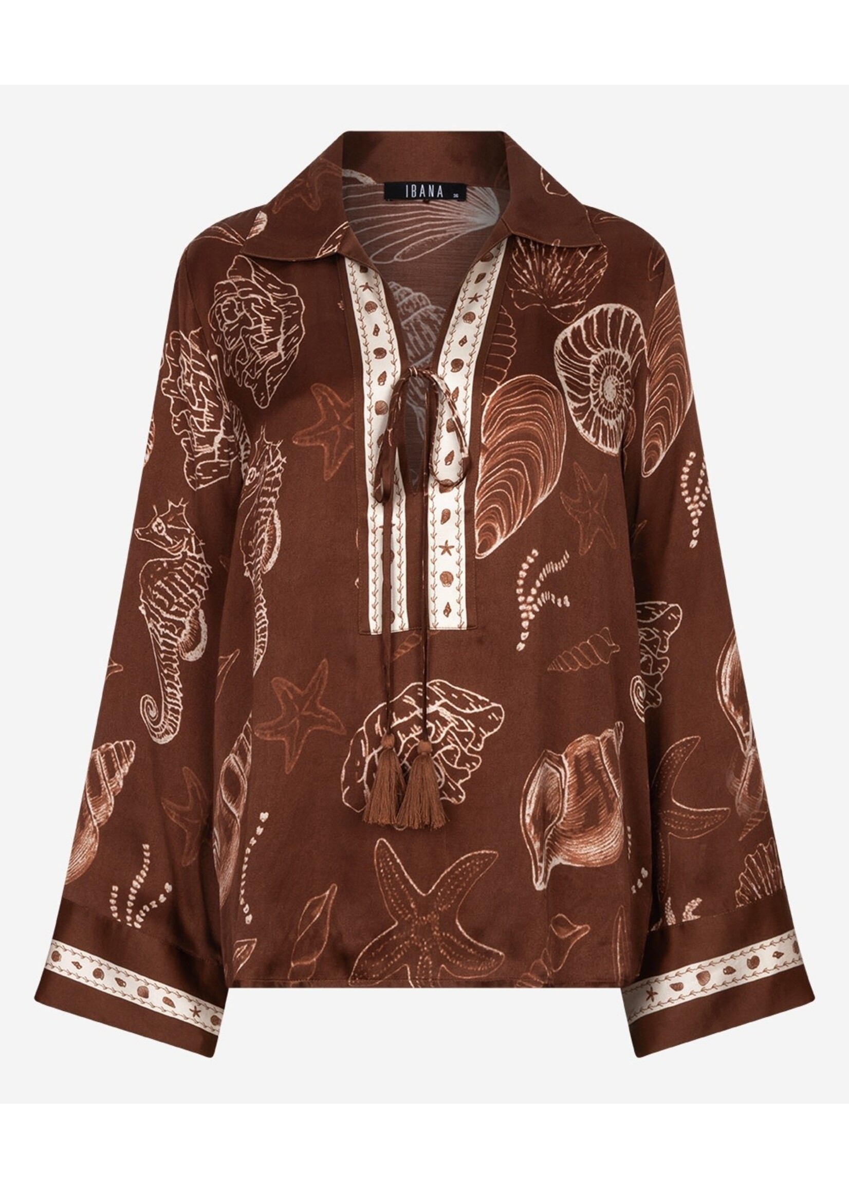 302620181 Tarya Shell