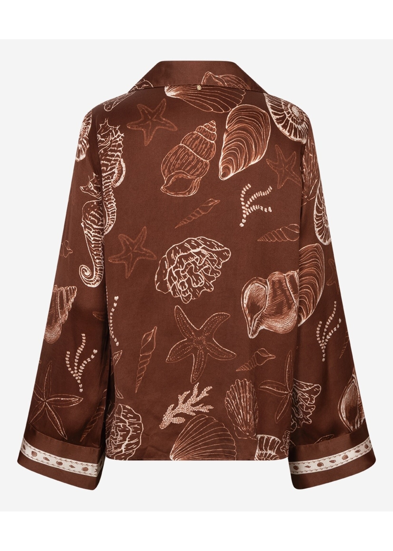 302620181 Tarya Shell