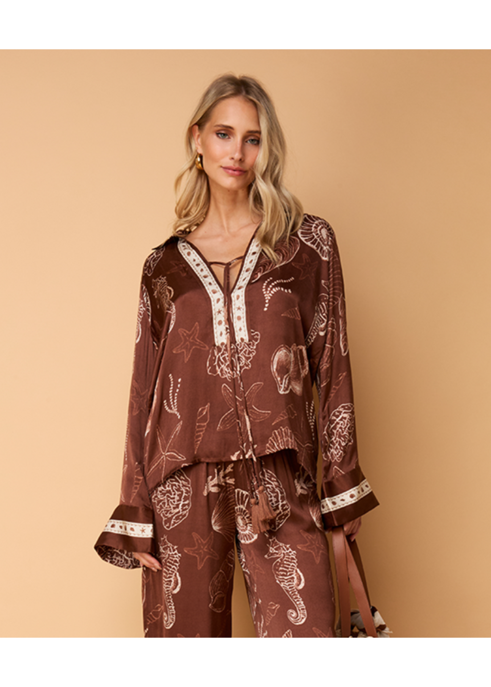 302620181 Tarya Shell