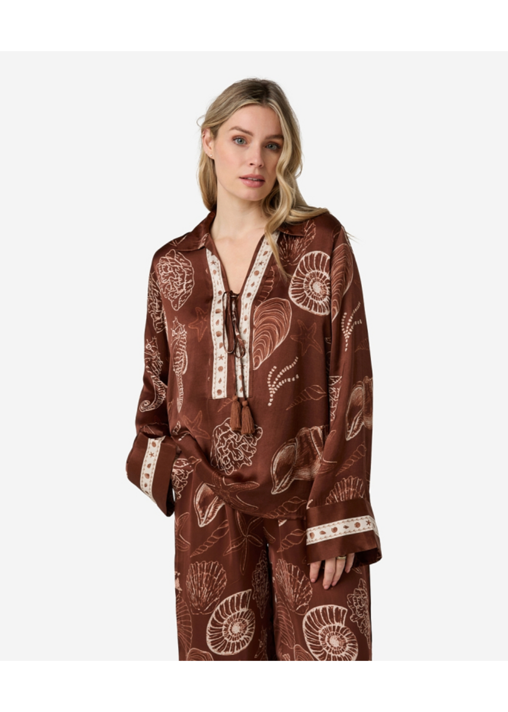 302620181 Tarya Shell