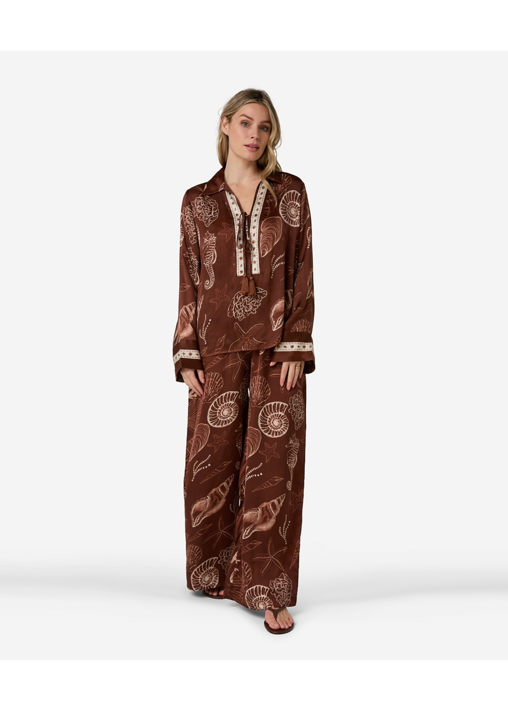 302620181 Tarya Shell