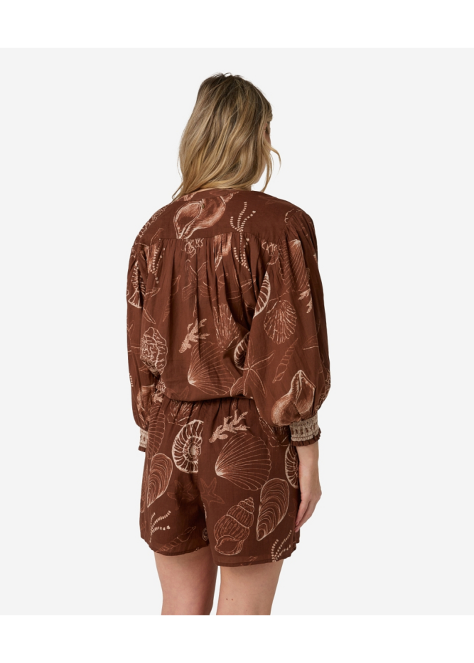 302620156 Tinca Shell