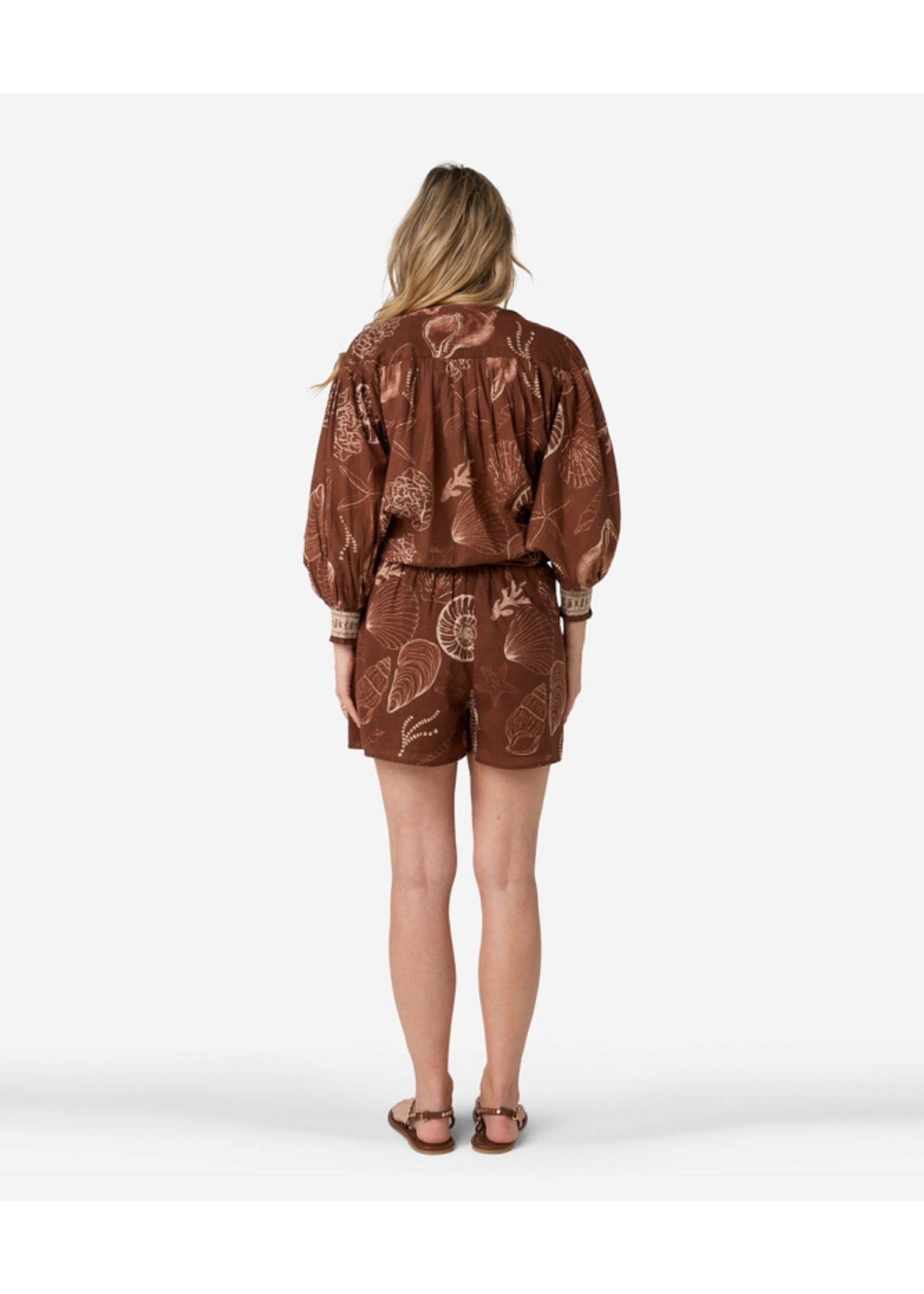 302620156 Tinca Shell