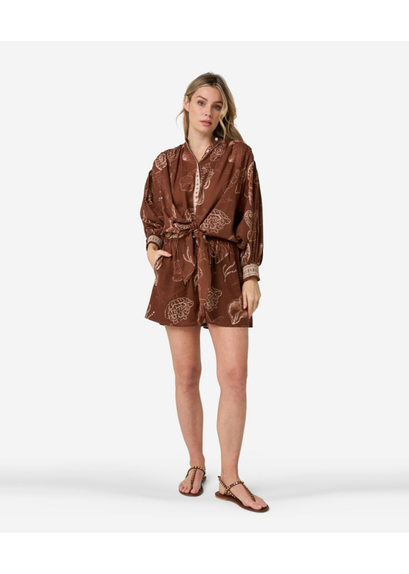 302620156 Tinca Shell