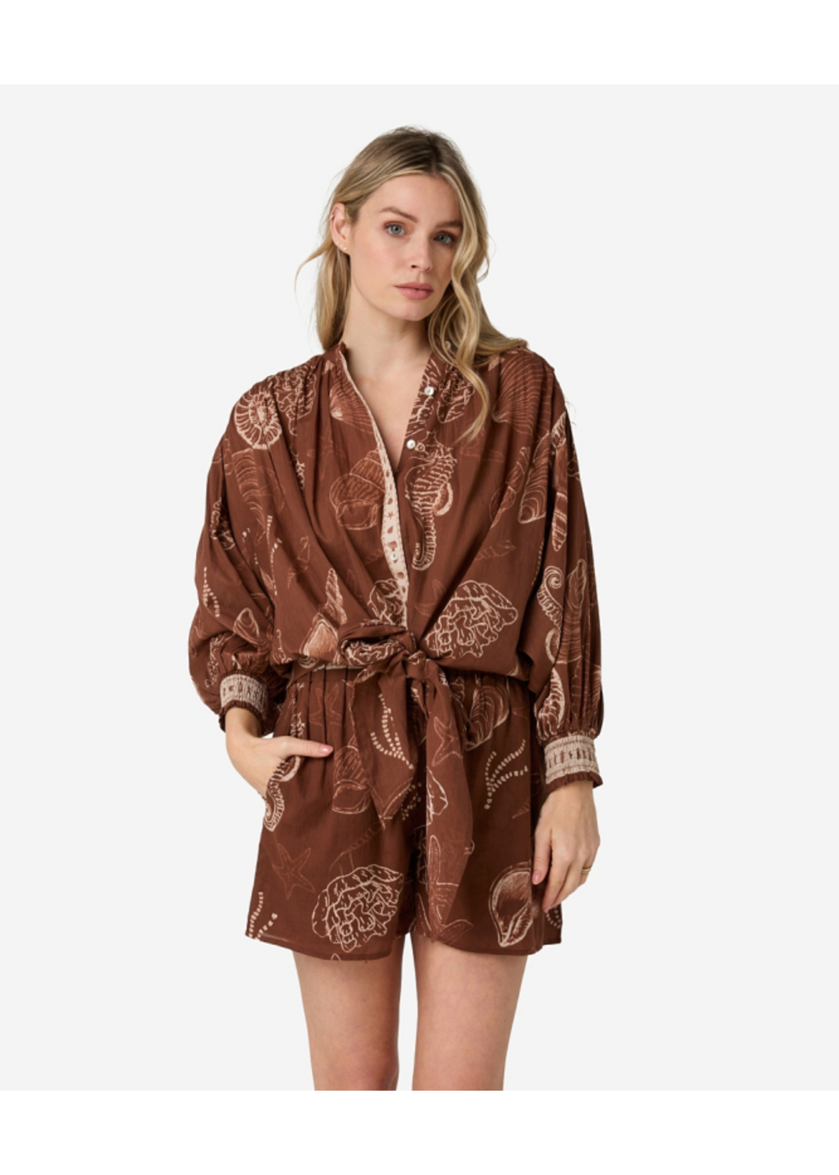 302620156 Tinca Shell