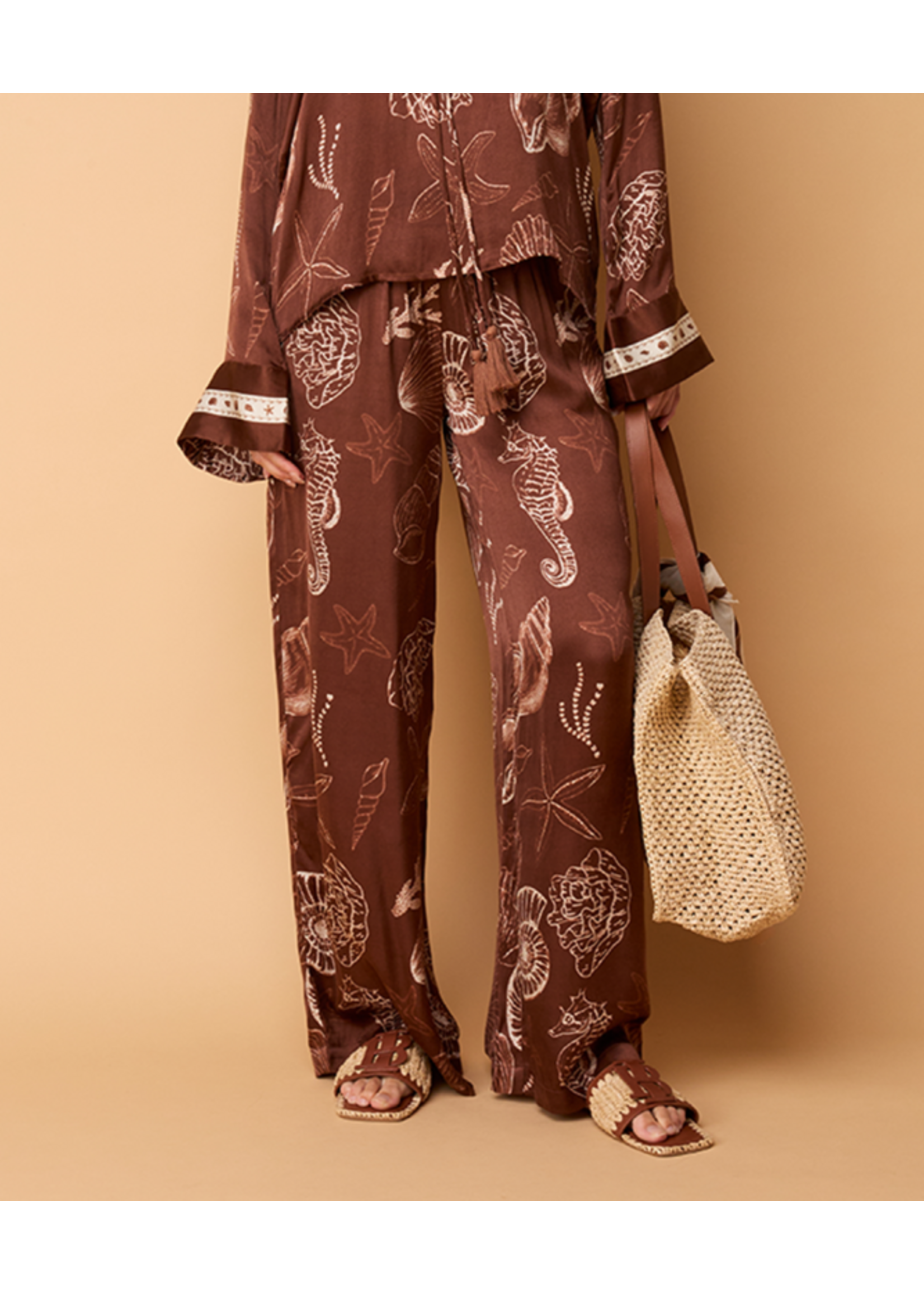 302620155 Piero Shell