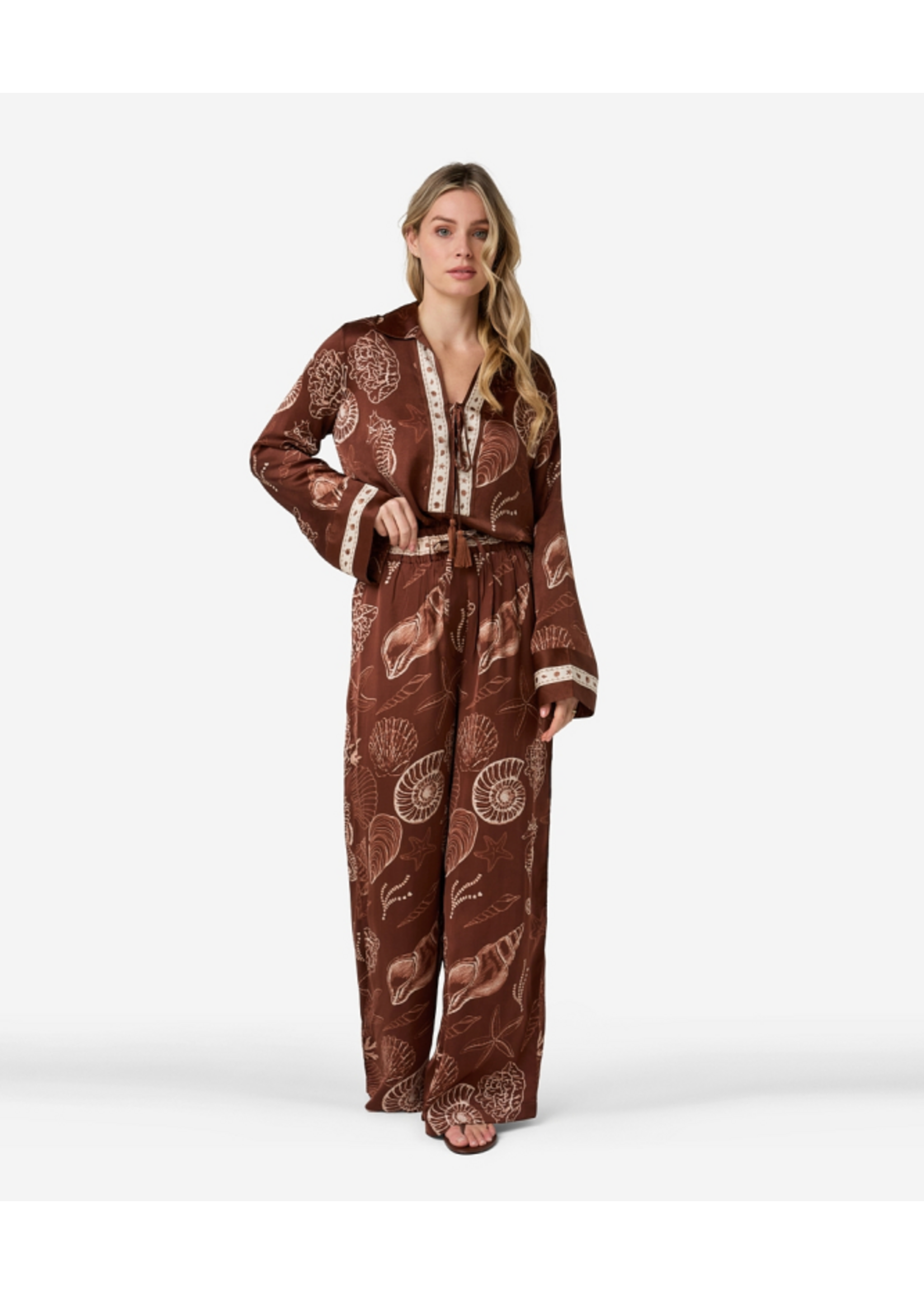 302620155 Piero Shell