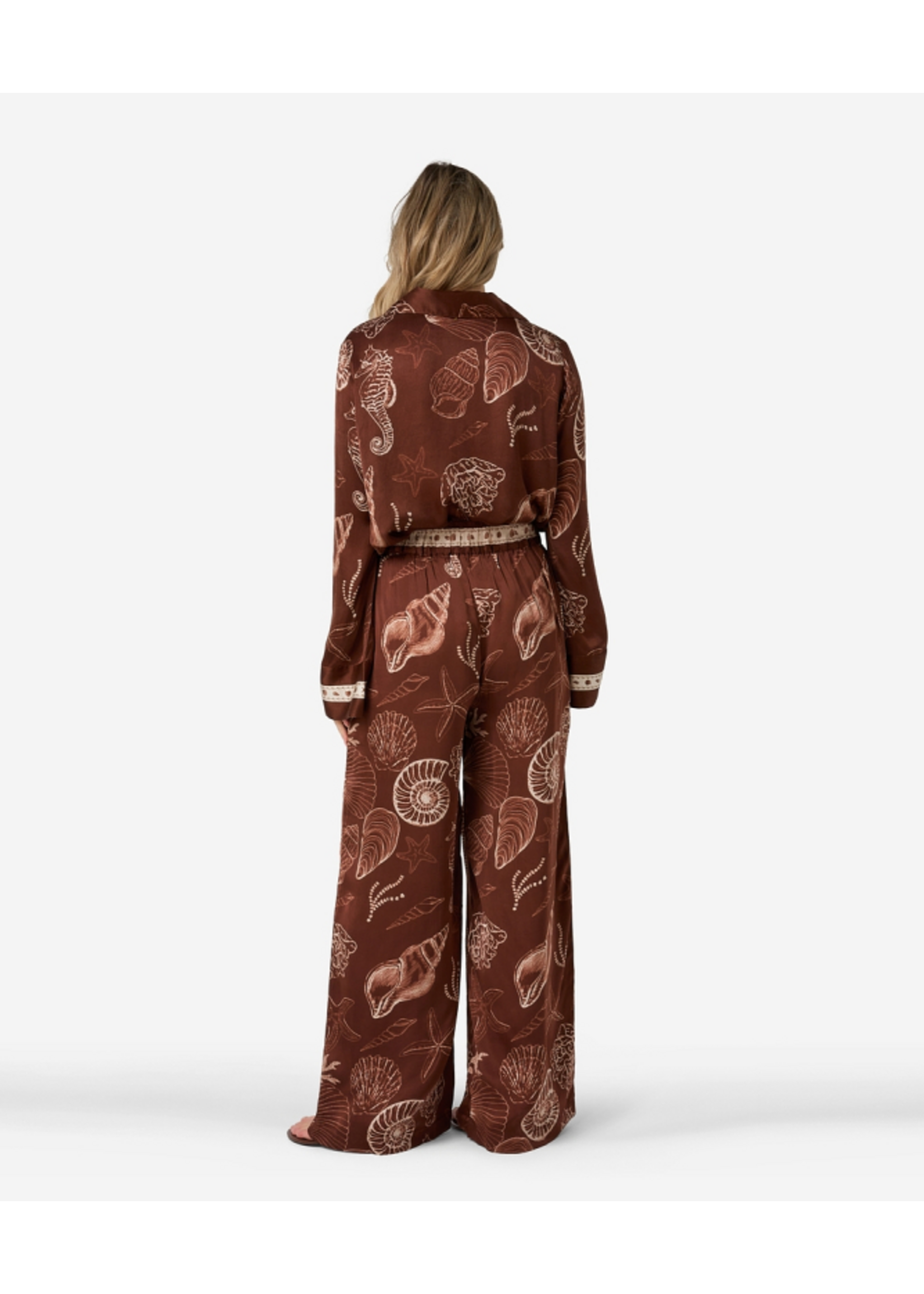 302620155 Piero Shell