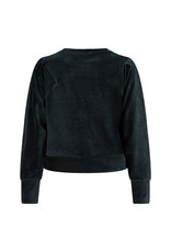 Indian Blue Jeans sweater rib velvet bayberry