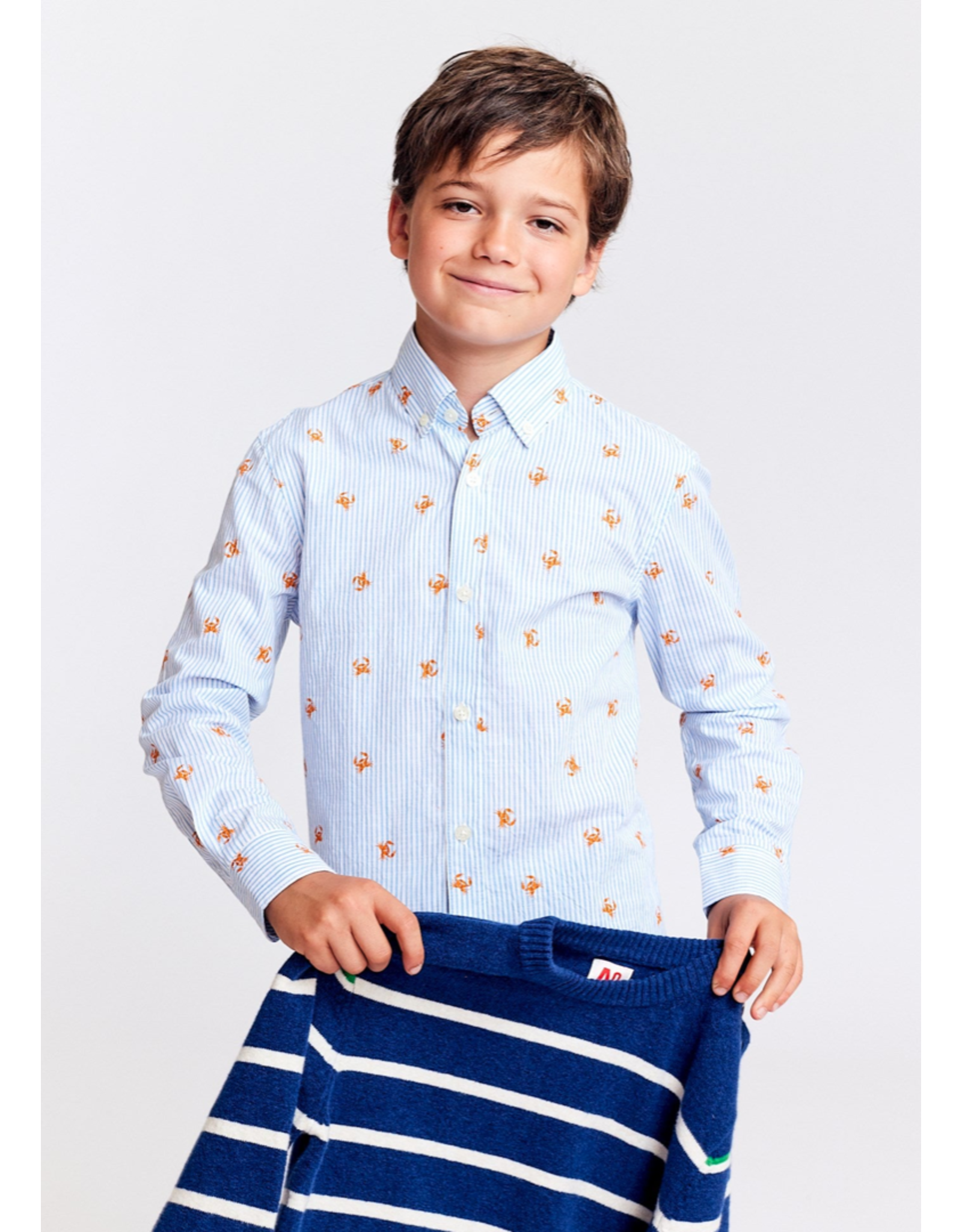 AO76 hemd axel gestreept krab