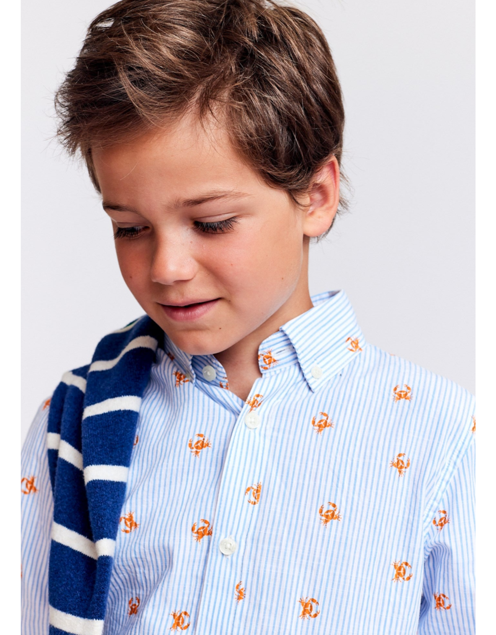 AO76 hemd axel gestreept krab