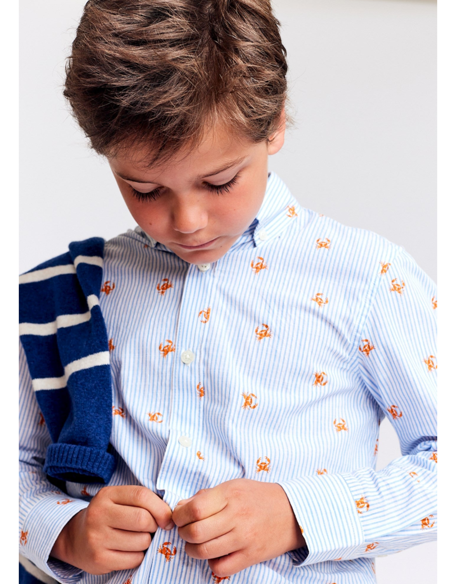 AO76 hemd axel gestreept krab