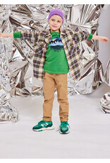 AO76 walis hemd flanel groen checked