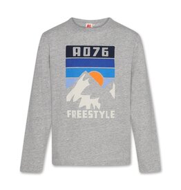 AO76 Mathew t-shirt freestyle grijs