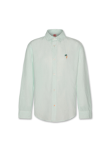 AO76 hemd Alan munt palmtree