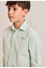 AO76 hemd Alan munt palmtree