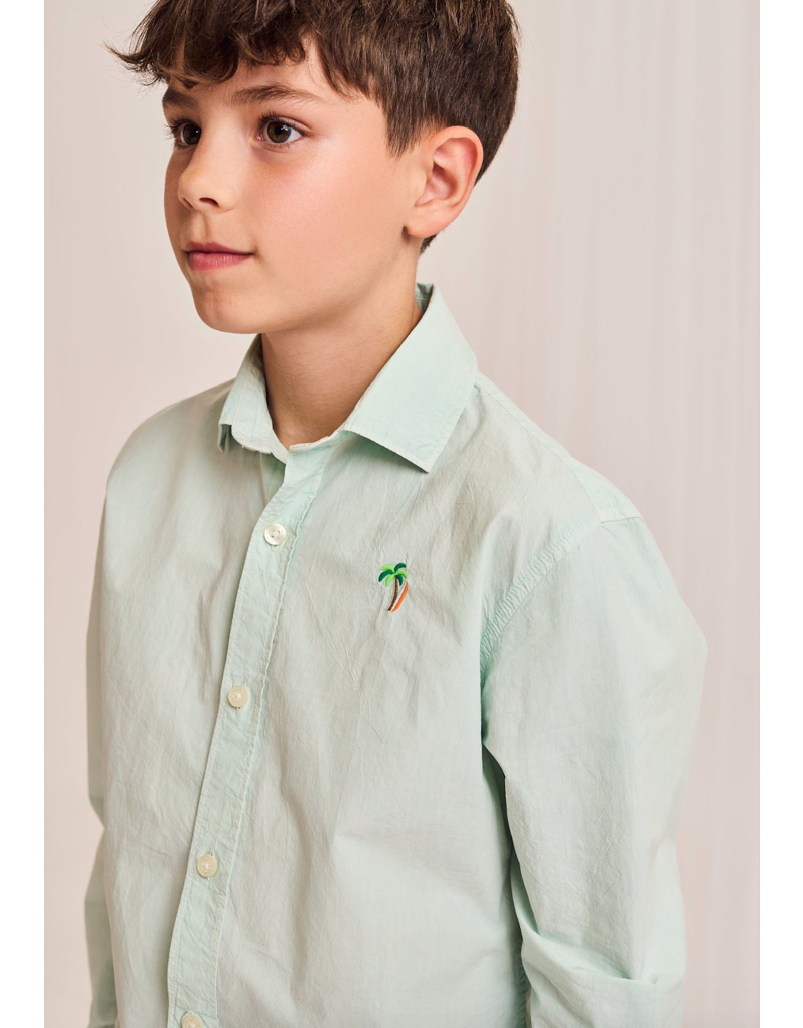 AO76 hemd Alan munt palmtree