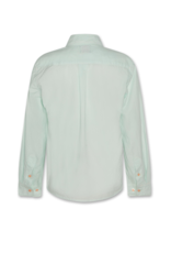 AO76 hemd Alan munt palmtree