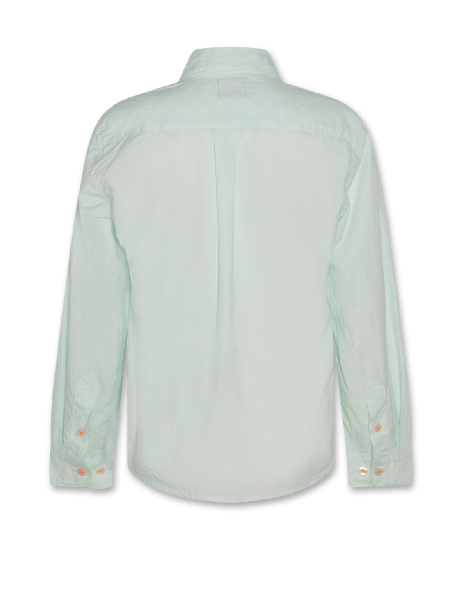 AO76 hemd Alan munt palmtree