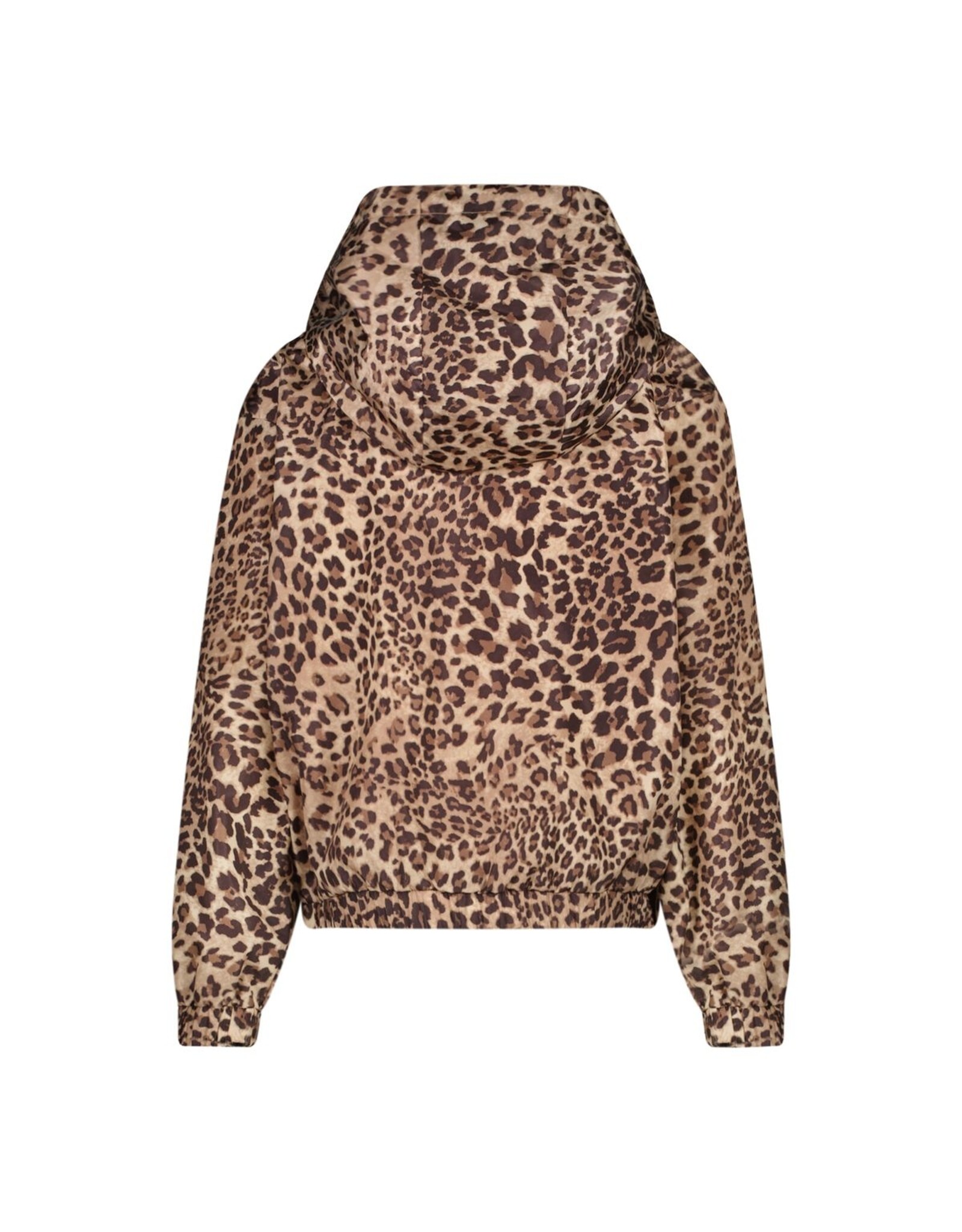 Cars zomerjas Yelsa leopard