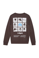 Indian Blue Jeans sweater washed back print ash brown