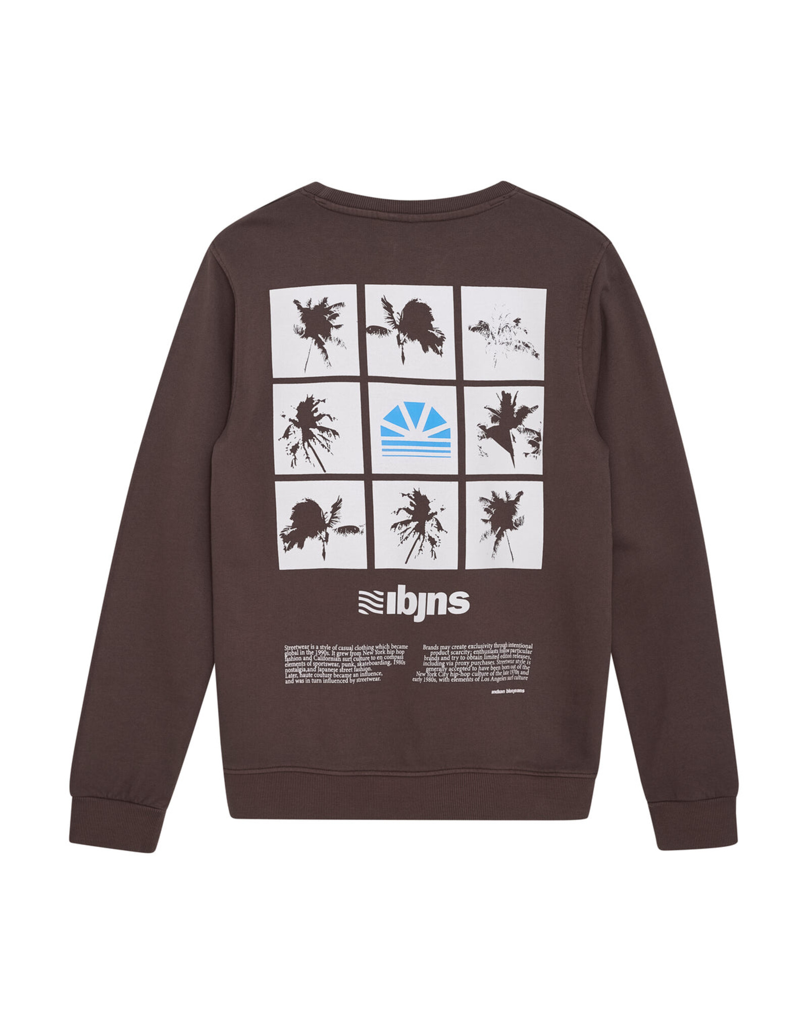 Indian Blue Jeans sweater washed back print ash brown