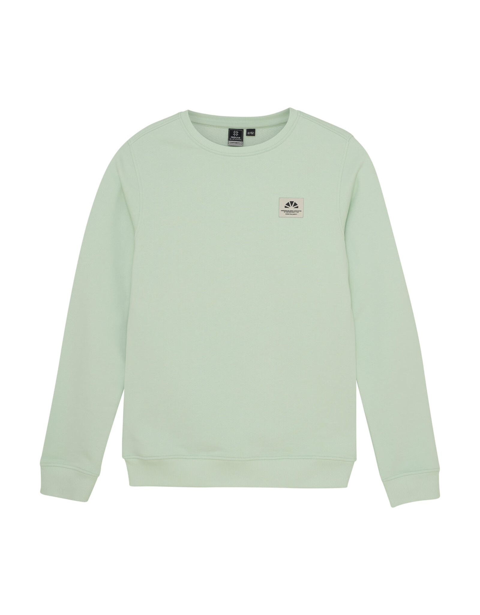 Indian Blue Jeans sweater fade mint back print