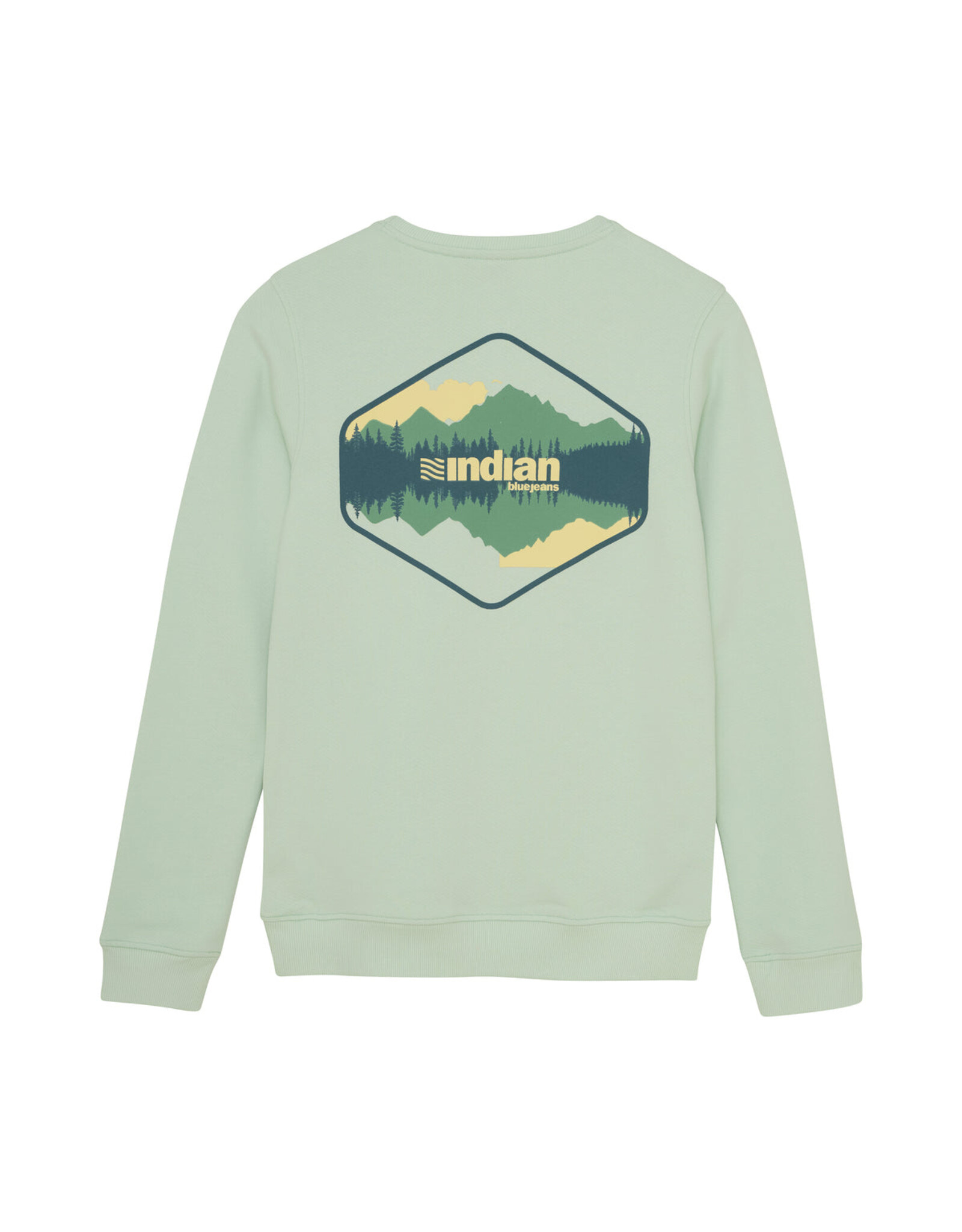 Indian Blue Jeans sweater fade mint back print