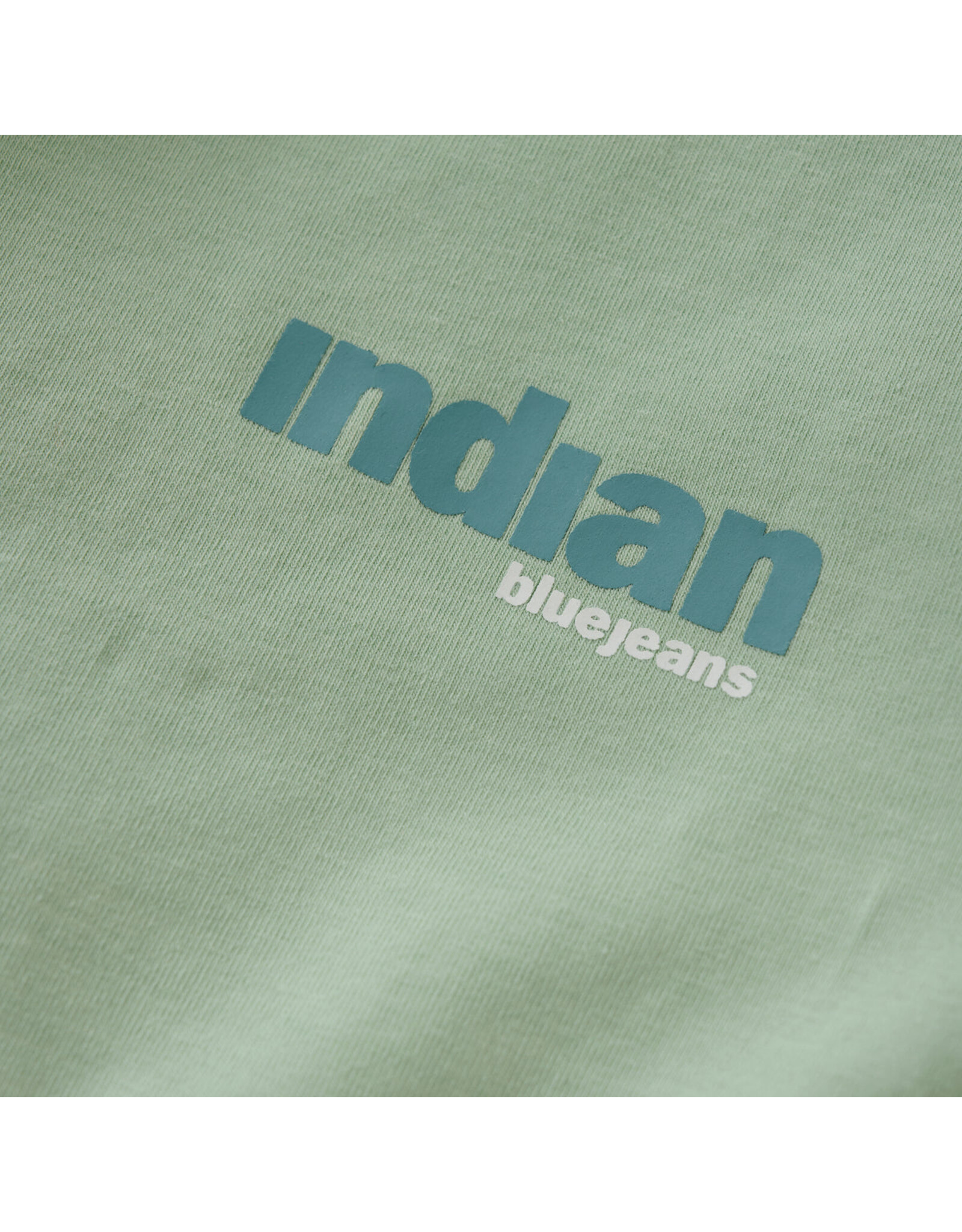 Indian Blue Jeans T-shirt fade mint