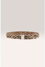 Bellerose leopard riem elastiek