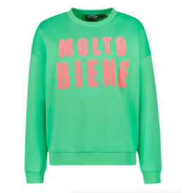 Cars sweater Lyncy green molto bene